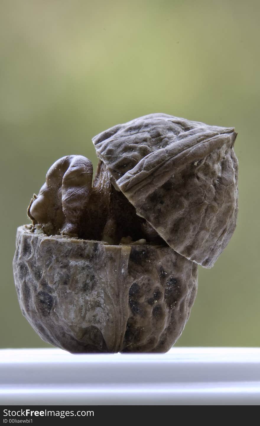 Cut top of the nut. Against the backdrop of forests. Pleasant appetite!. Cut top of the nut. Against the backdrop of forests. Pleasant appetite!