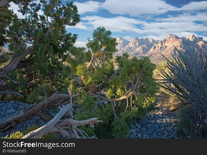 Red Rock Canyon, Nevada