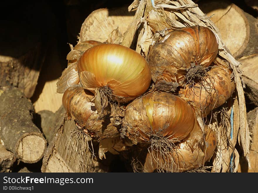 Drying onions.