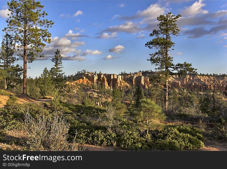 A picturesque corner in Bryce canyon in state of Utah in the USA. A picturesque corner in Bryce canyon in state of Utah in the USA