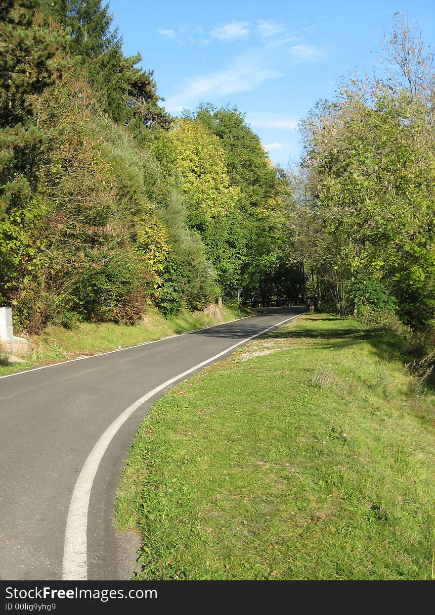 A street in nature between plants and trees. A street in nature between plants and trees