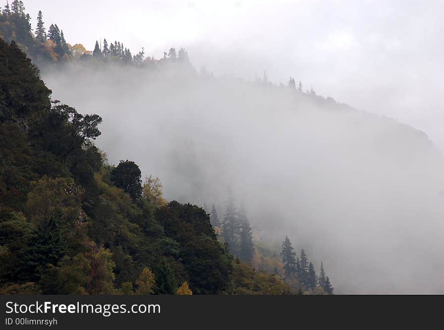 Song-Pin valley is a beautiful valley lies in the north-west of Sichuan P.R.China.