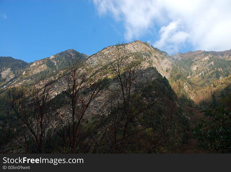 Song-Pin valley is a beautiful valley lies in the north-west of Sichuan P.R.China.