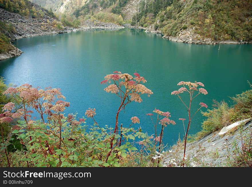 Song-Pin valley is a beautiful valley lies in the north-west of Sichuan P.R.China.