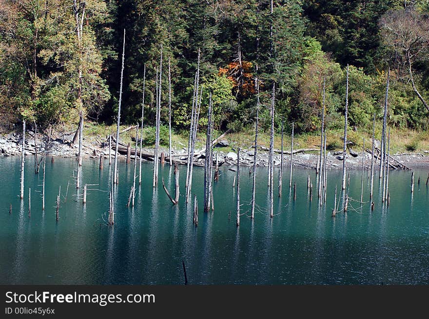 Song-Pin valley is a beautiful valley lies in the north-west of Sichuan P.R.China.