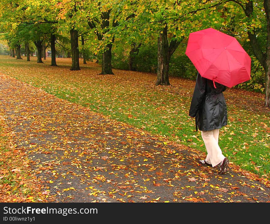 A woman with a dark coat and a bright red umbrella on a walkaway of a park covered with fallen orange leaves. A woman with a dark coat and a bright red umbrella on a walkaway of a park covered with fallen orange leaves.