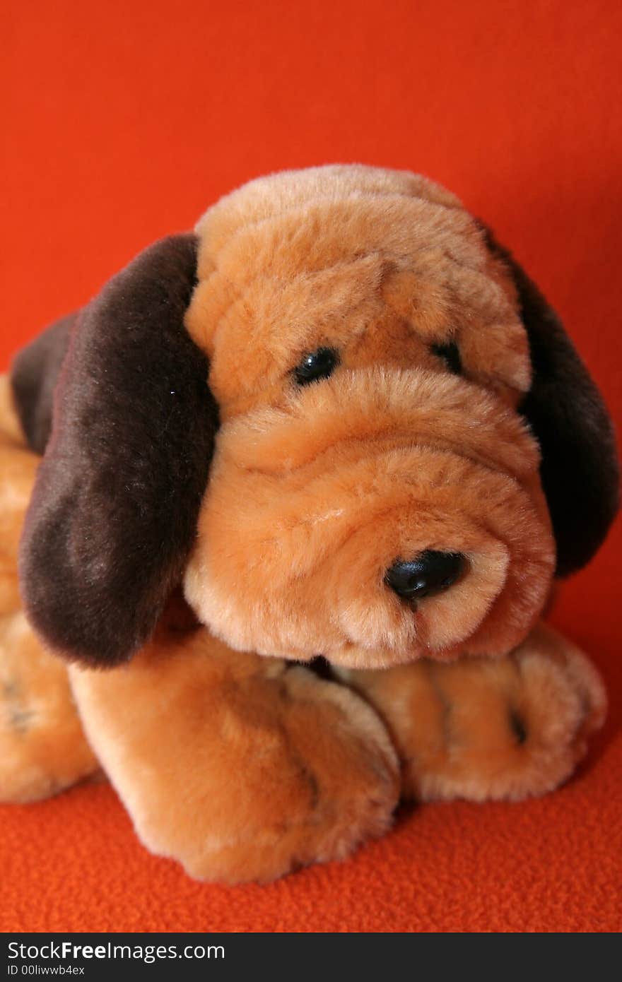 Plush dog against dark orange background. Plush dog against dark orange background