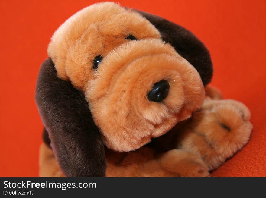 Plush dog against dark orange background. Plush dog against dark orange background