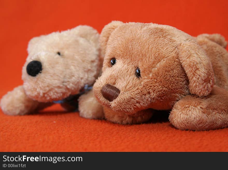 Teddy bears against dark orange background. Teddy bears against dark orange background