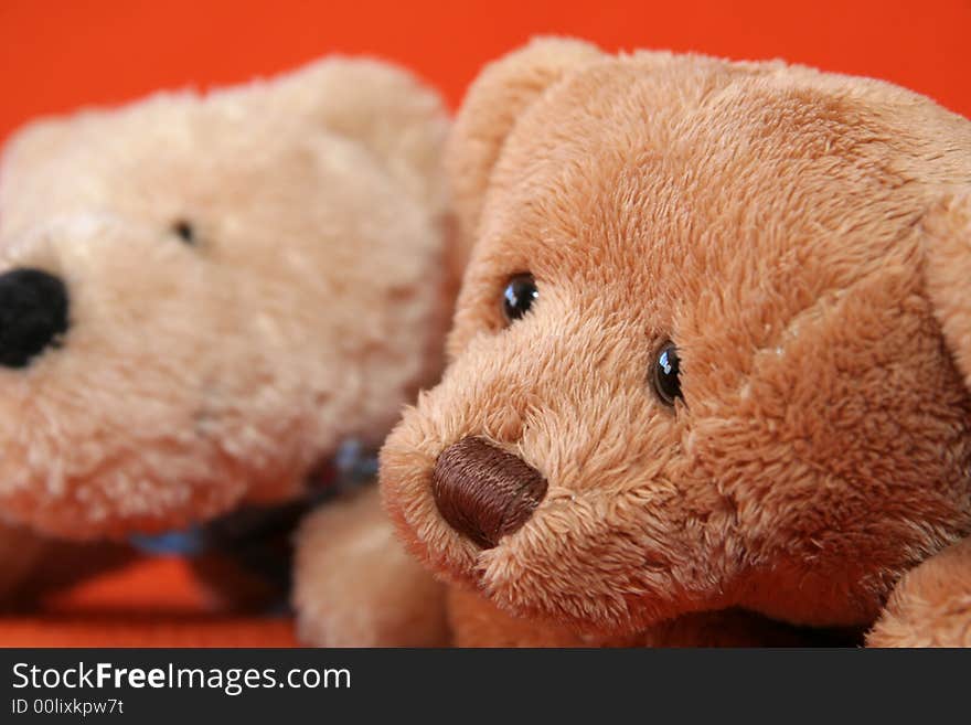 Teddy bears against dark orange background. Teddy bears against dark orange background