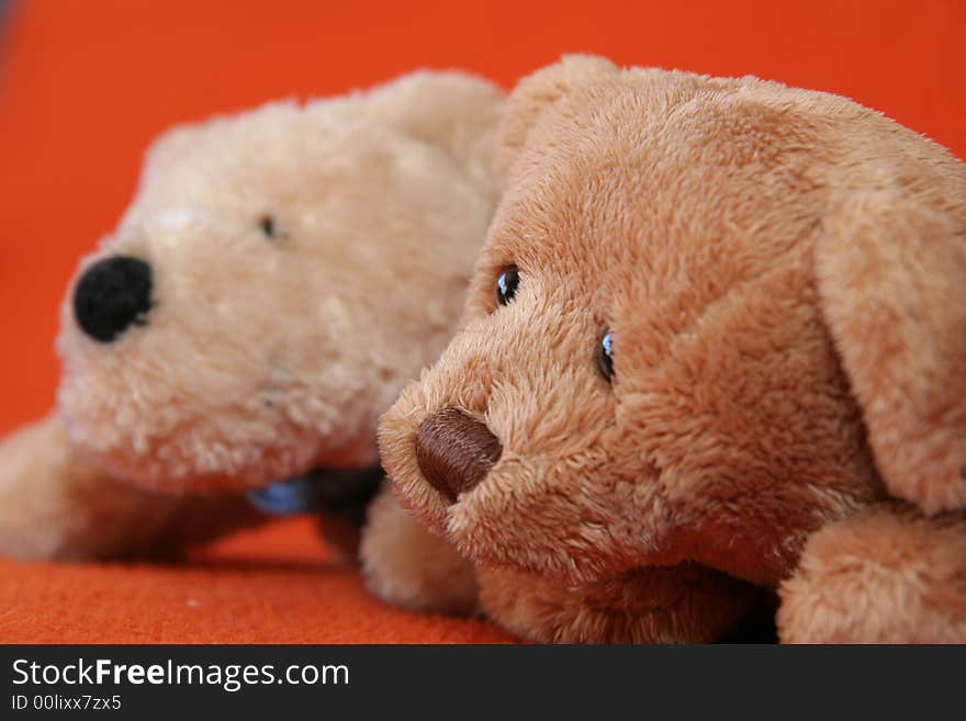 Teddy bears against dark orange background. Teddy bears against dark orange background