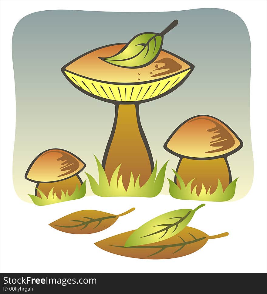 Three mushrooms