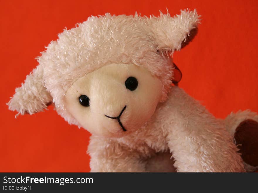 Plush lamb against dark orange background. Plush lamb against dark orange background