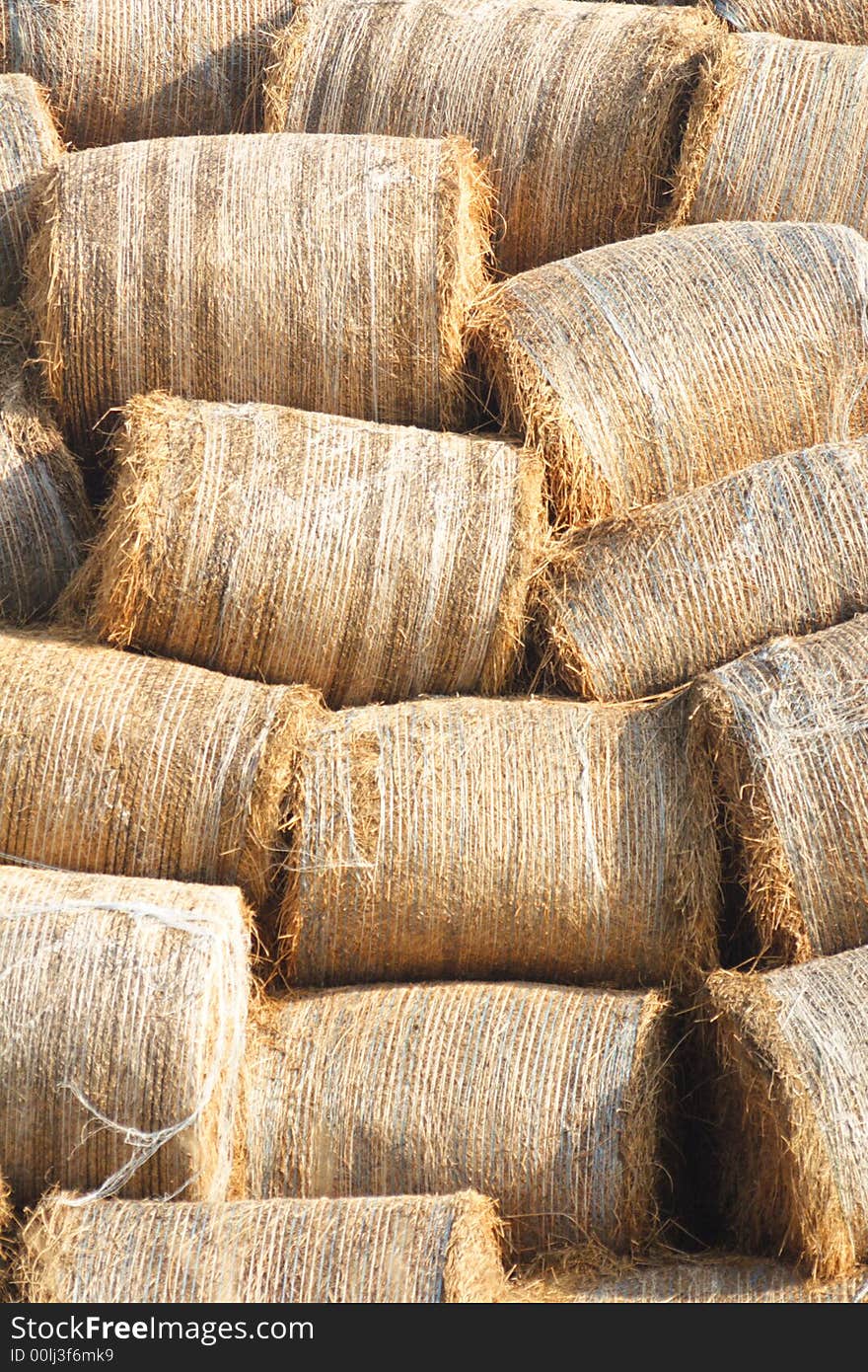 Lot of round bales after harvest