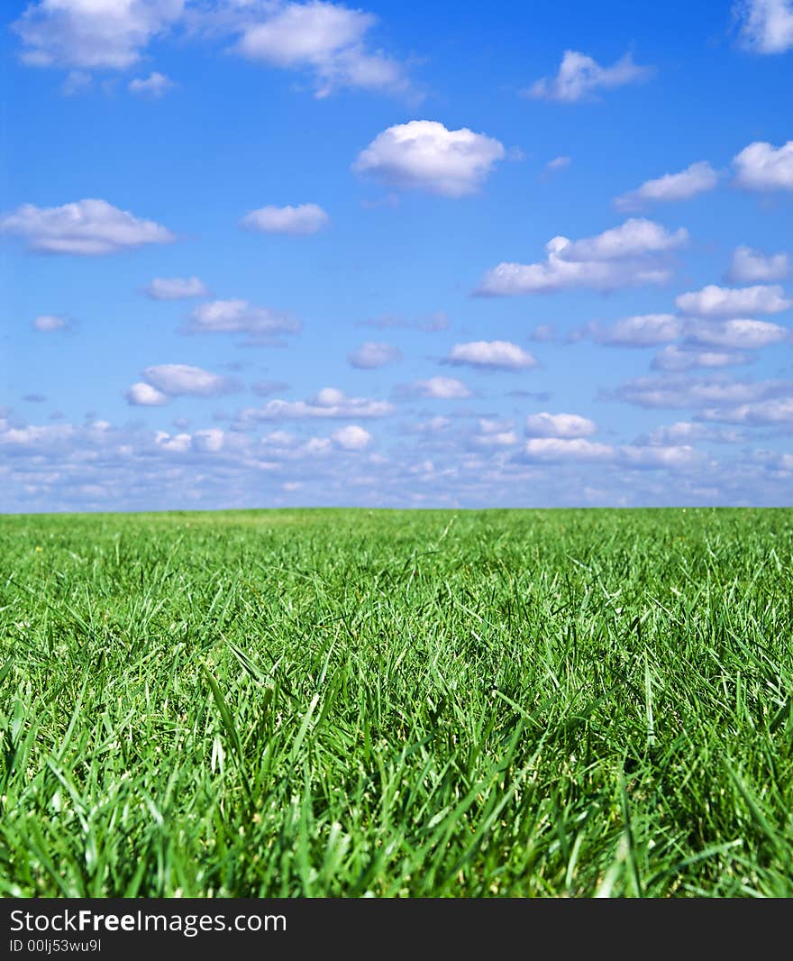 Green field landscape