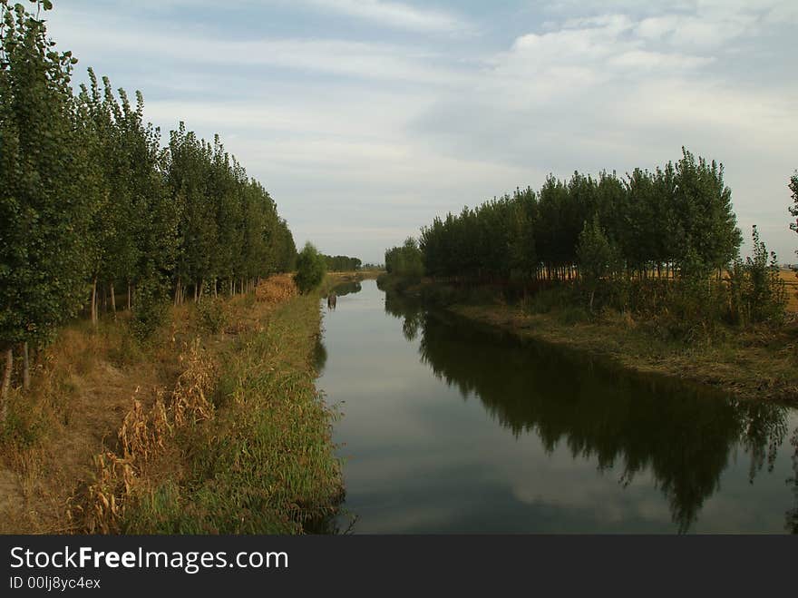 The river flows across the paddy field,rows of trees are planted along it.Some wildfowl live here. The river flows across the paddy field,rows of trees are planted along it.Some wildfowl live here.