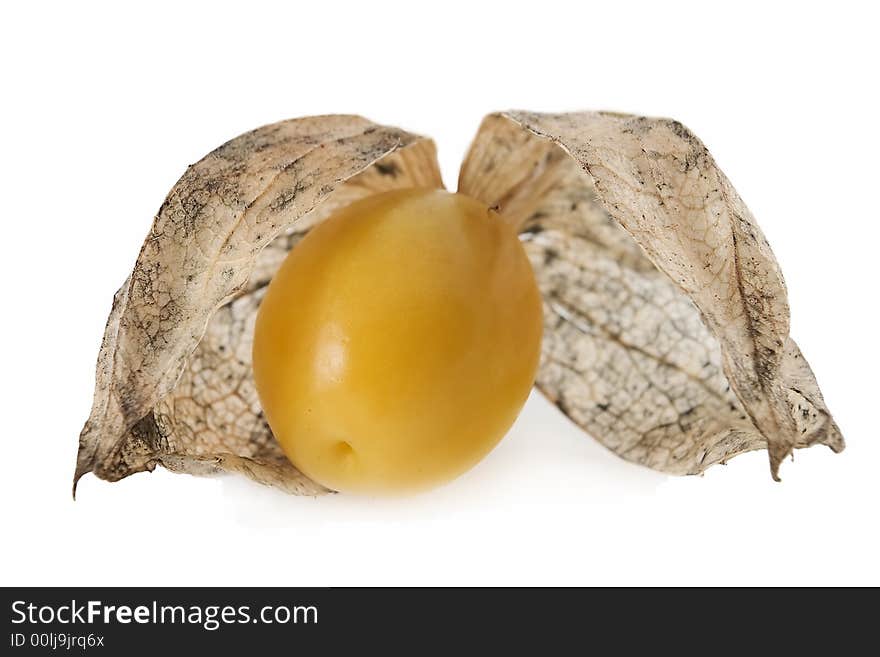 Physalis fruit isolated on white.