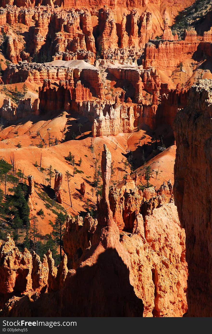 Detail Bryce Canyon