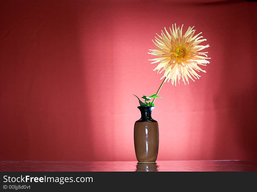 Shining flower dahlia gold crown in vase. Background is red.