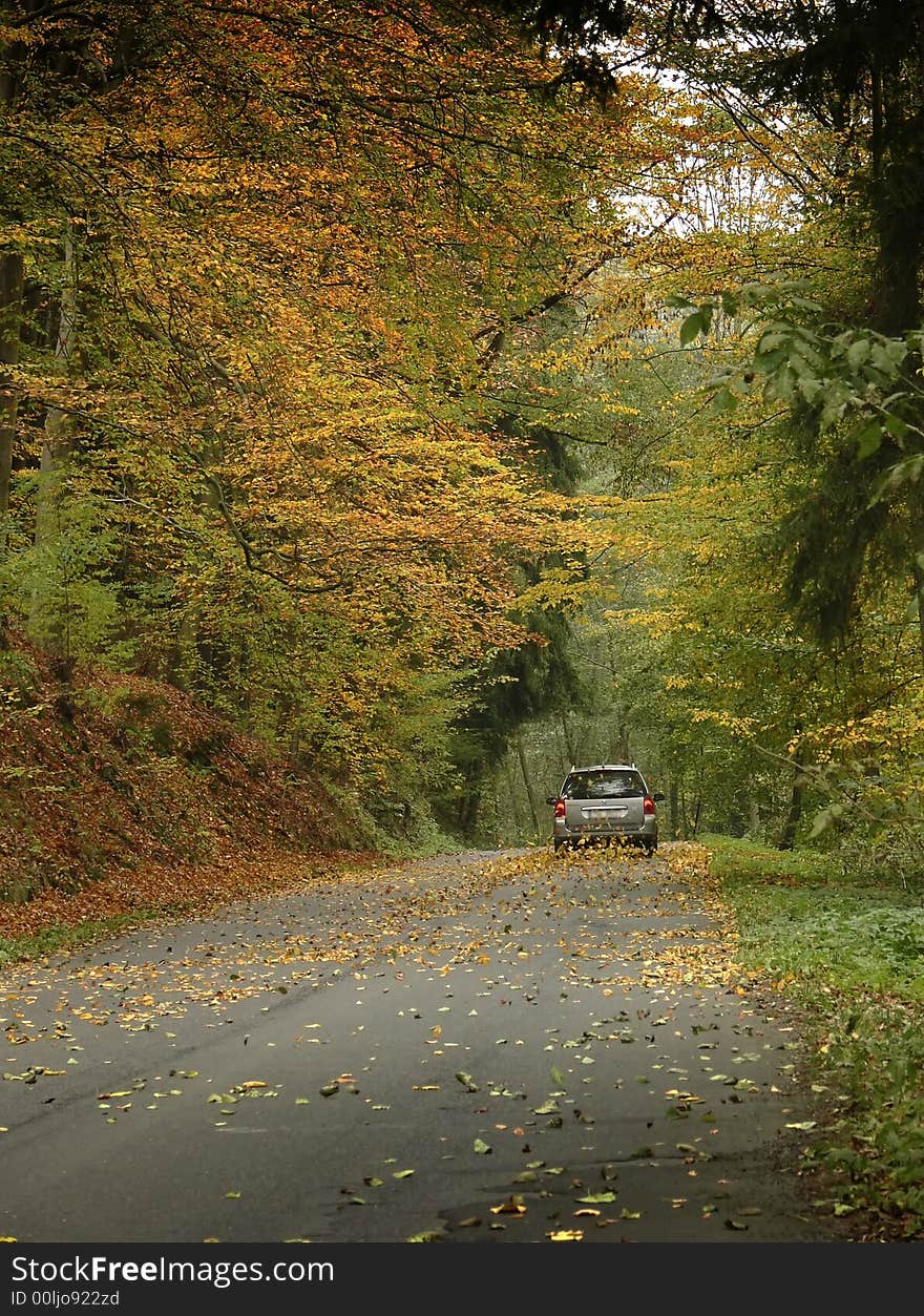 Car drives down autumn road