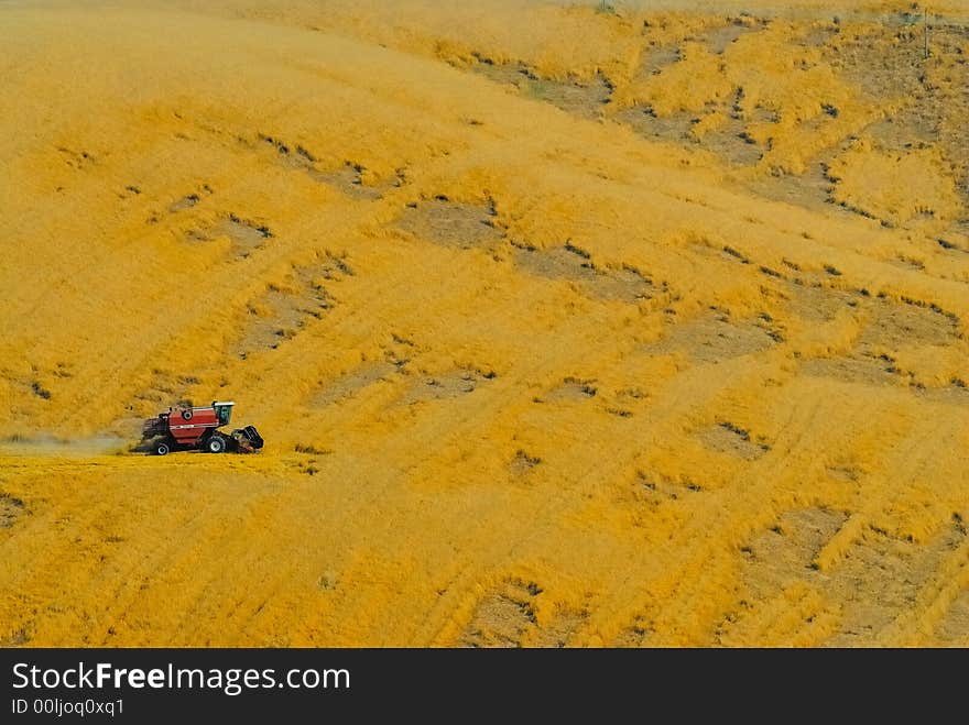 Harvester at work in a crop field in Italy. Harvester at work in a crop field in Italy