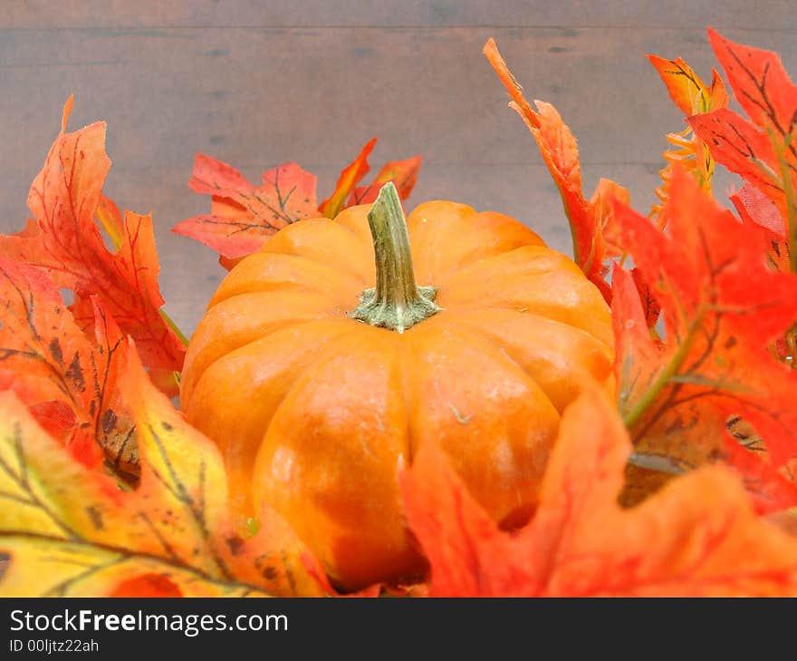 Autumn Harvest Pumpkin