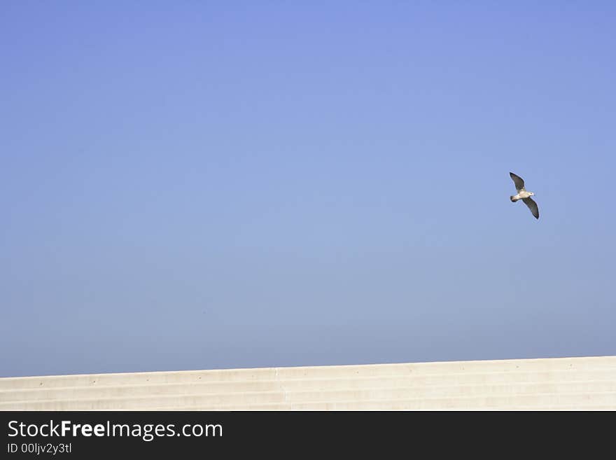 Flying Free France