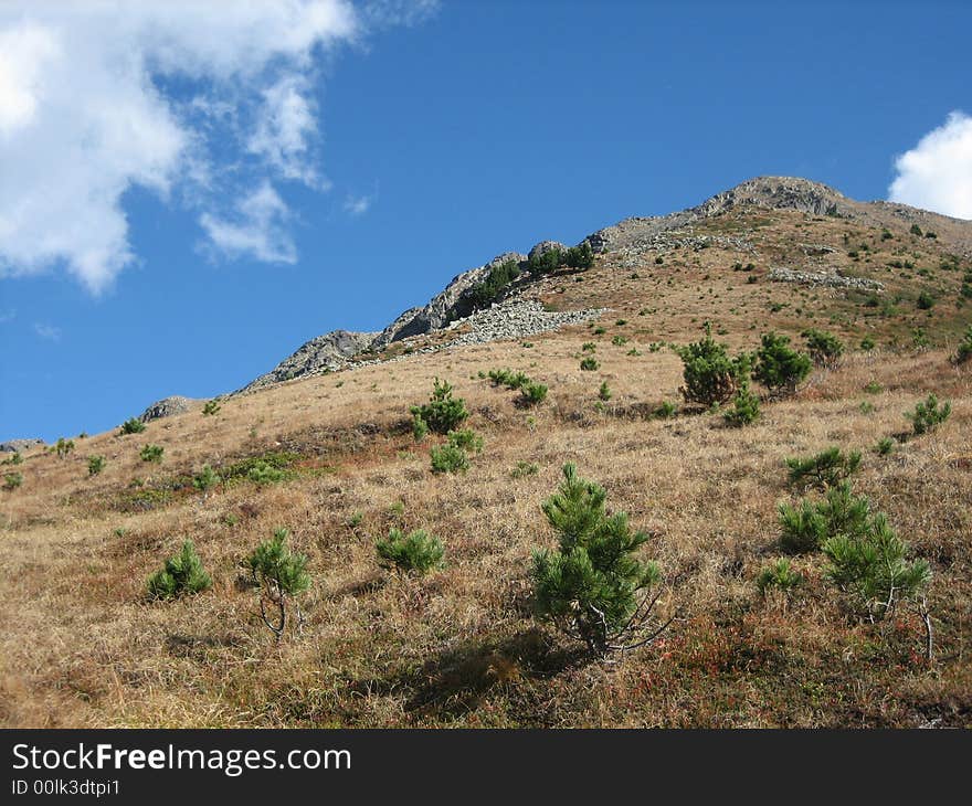 Mountains in nature with rocks grass and other plants. Mountains in nature with rocks grass and other plants