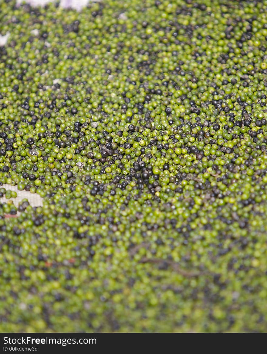 Thai Peppercorns