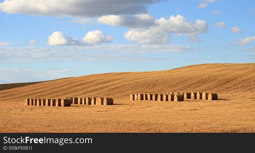 Autumn Bales Landscape