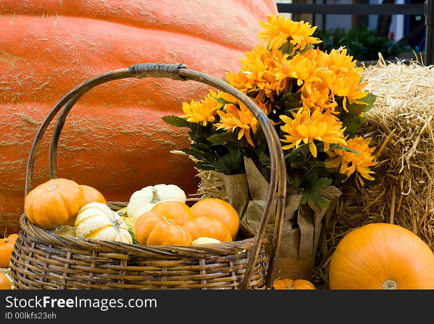 Big Pumpkin and Basket