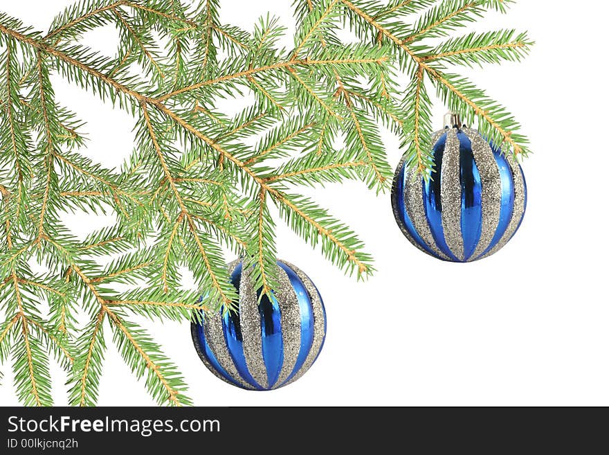 Two blue balls on a fur-tree branch on a white background.