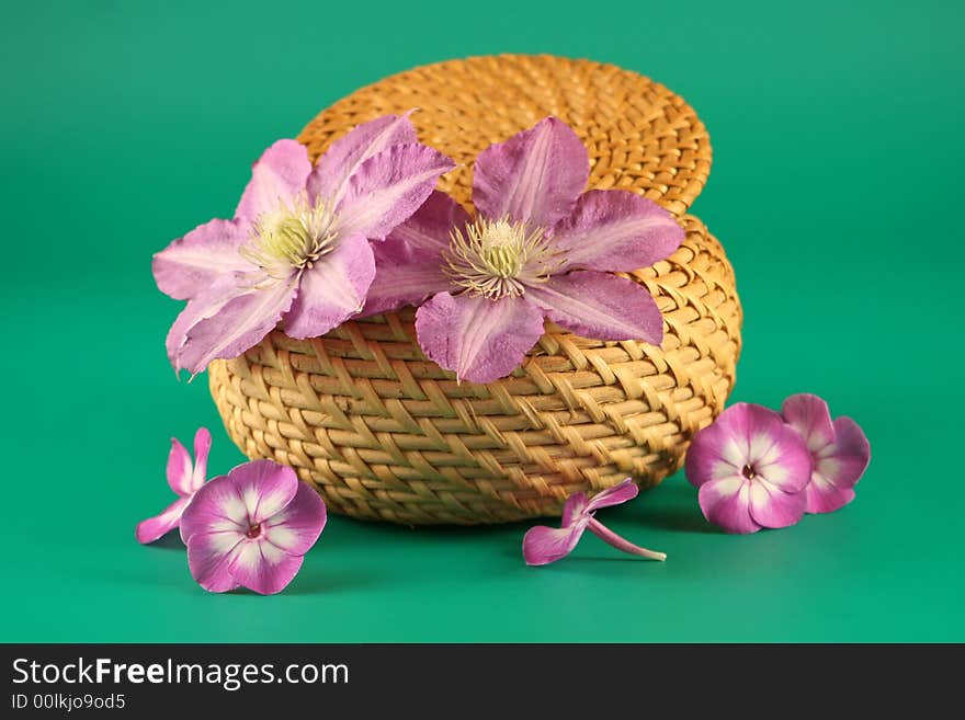 Basket with   flowers on a green  background. Basket with   flowers on a green  background