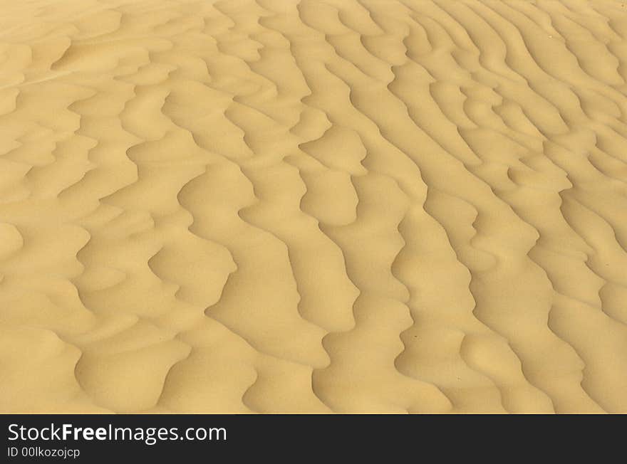 Desert Prints