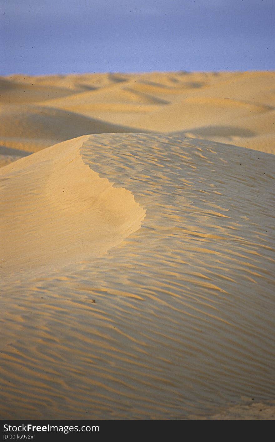 Dune with the typical S shape at the sunset in the core of Sahara Desert in North Africa. Dune with the typical S shape at the sunset in the core of Sahara Desert in North Africa