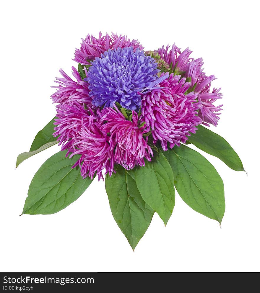 Bouquet isolated on the white background. Bouquet isolated on the white background