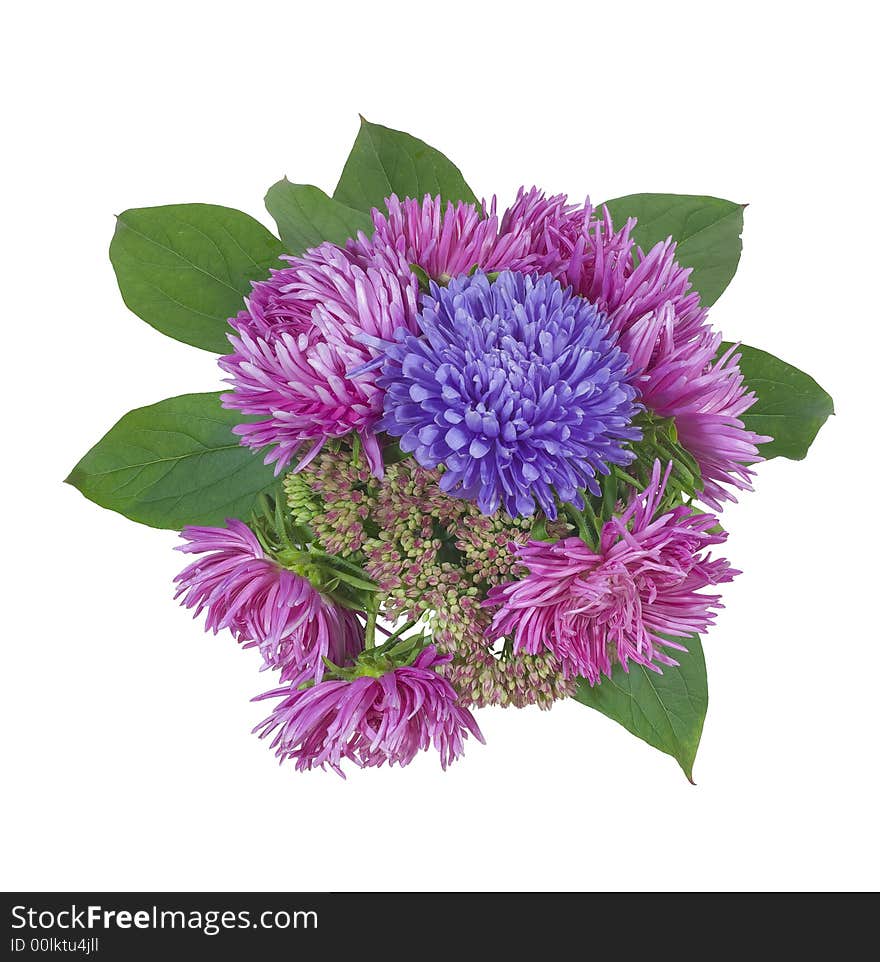 Bouquet isolated on the white background. Bouquet isolated on the white background