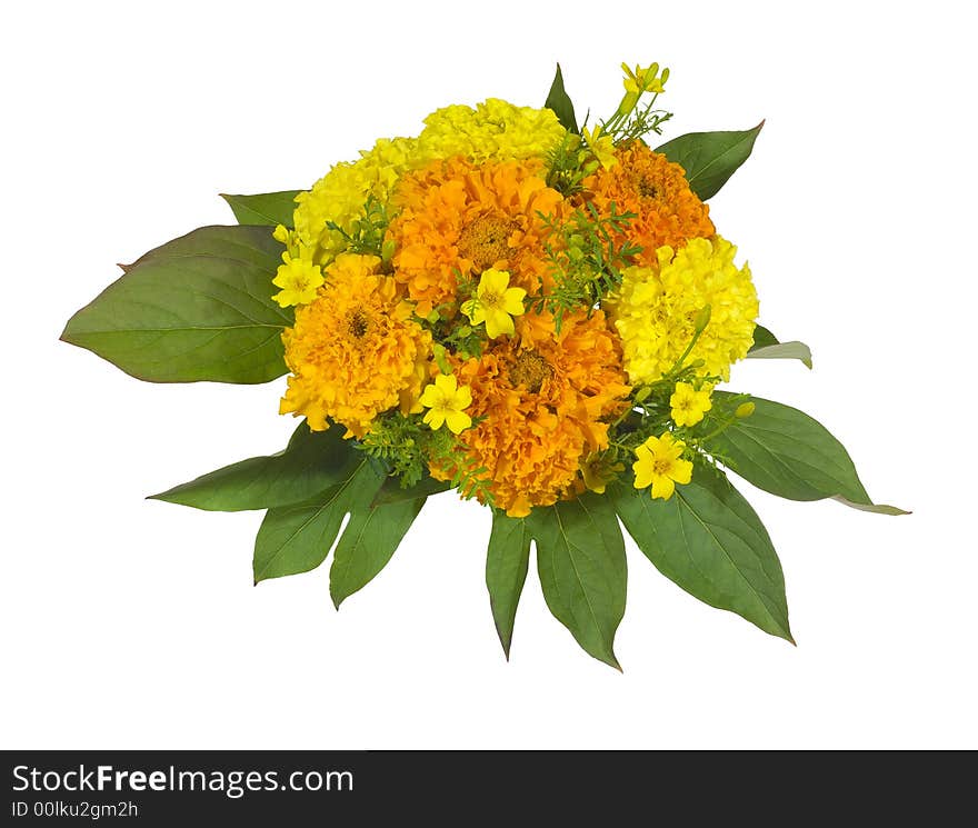 Bouquet isolated on the white background. Bouquet isolated on the white background