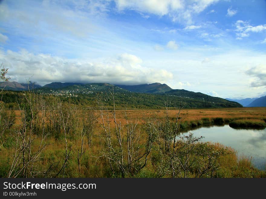 Alaska landscape with pond and stream. Alaska landscape with pond and stream.