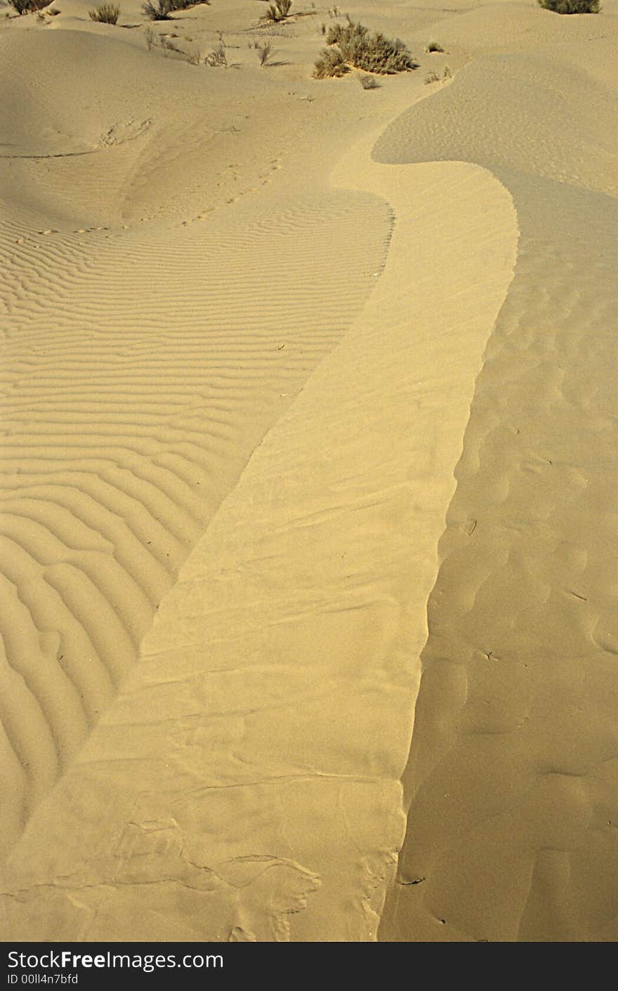 Dune with the typical S shape at the sunset in the core of Sahara Desert in North Africa. Dune with the typical S shape at the sunset in the core of Sahara Desert in North Africa