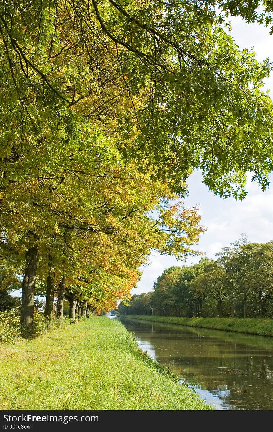 Autumn trees near the river. Autumn trees near the river