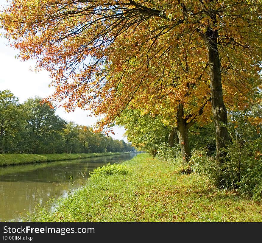 Autumn trees near the river. Autumn trees near the river