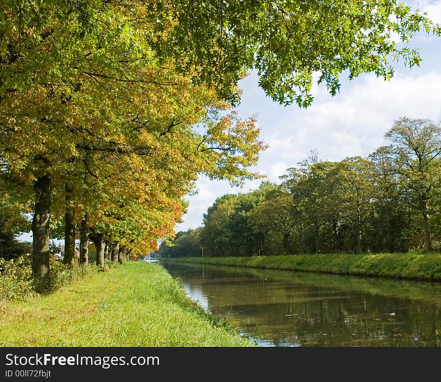 Autumn trees near the river. Autumn trees near the river