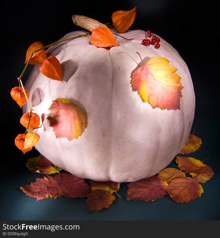 Autumn pumpkin, light painting made with light brush, on textured cardboard background, good design for thanksgiving greeting cards