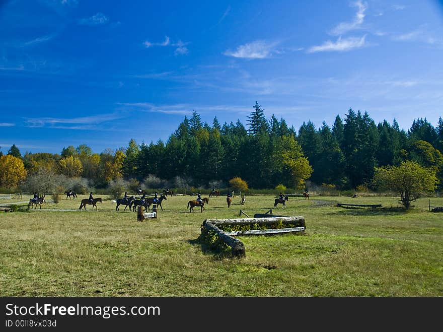 Horse Show Pasture Field