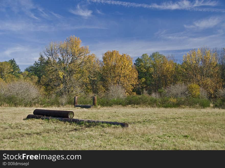 Horse Show Pasture Field