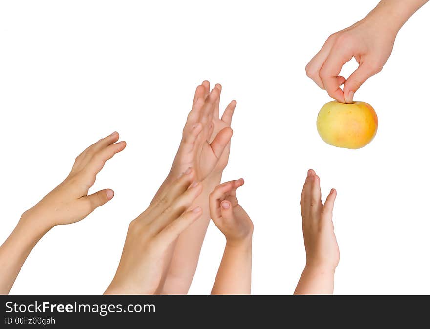 Children pull hands upwards isolated