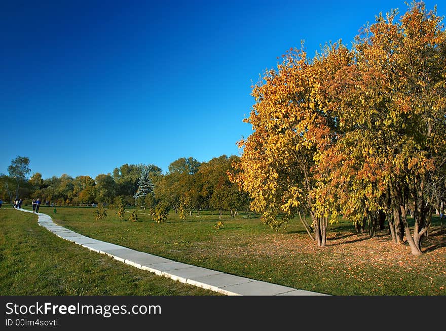 Autumn in the park: yellow leaved trees and path