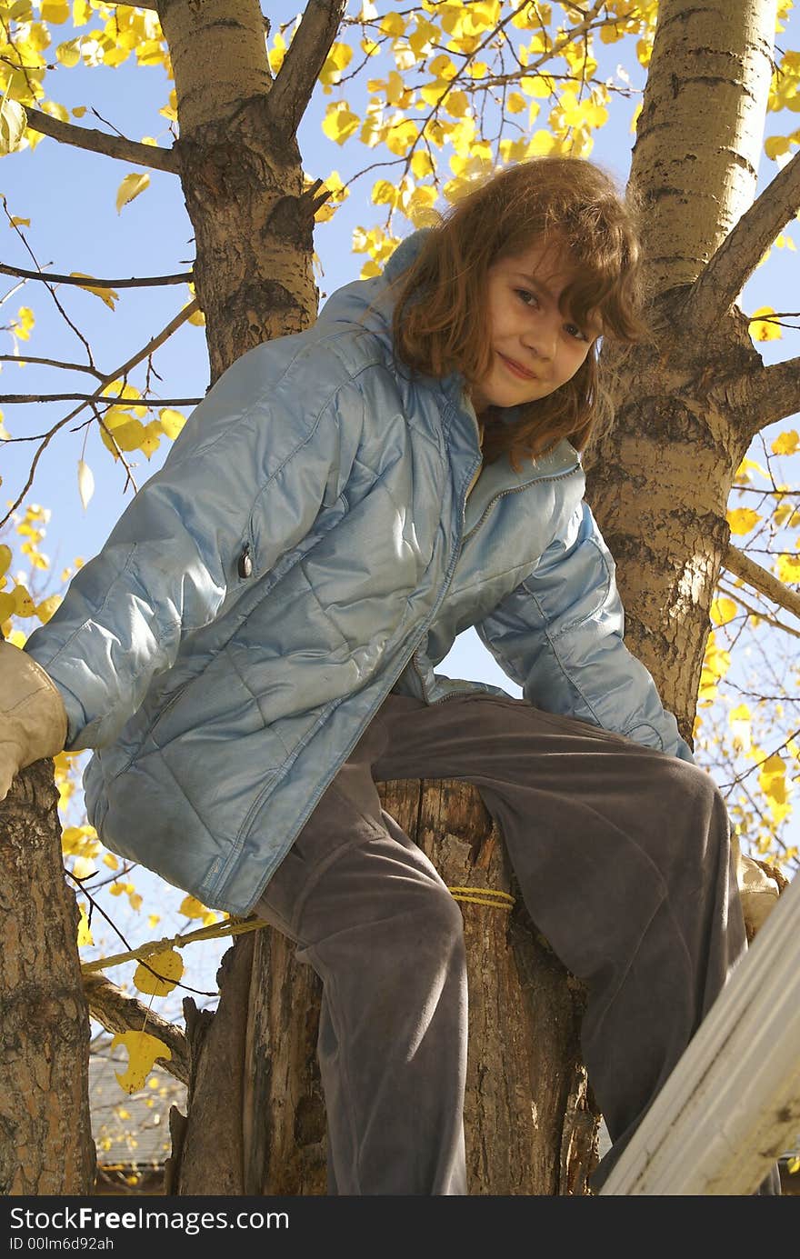 A young girl climbs a tree in the fall to be among the leaves. A young girl climbs a tree in the fall to be among the leaves