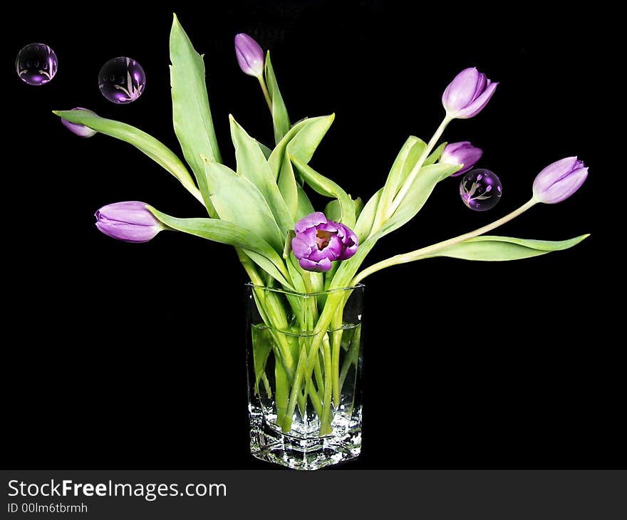 Purple tulip bouquet surrounded with purple colored bubbles. Purple tulip bouquet surrounded with purple colored bubbles.